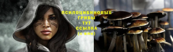 соль курить ск Новокубанск