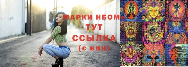 каннабис Новозыбков