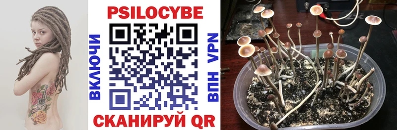 hydra онион  дарнет шоп  Власиха  Галлюциногенные грибы мухоморы 